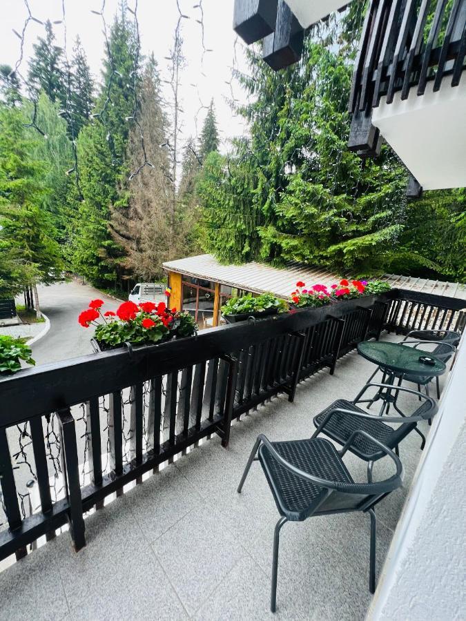 Cabana Din Poienita Poiana Brasov Eksteriør billede