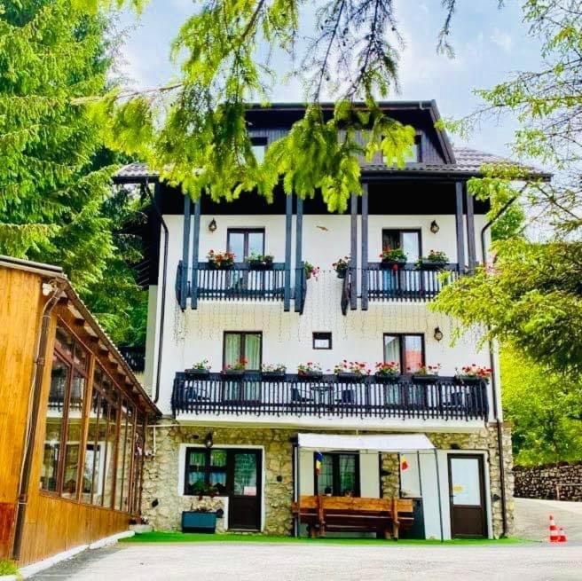 Cabana Din Poienita Poiana Brasov Eksteriør billede