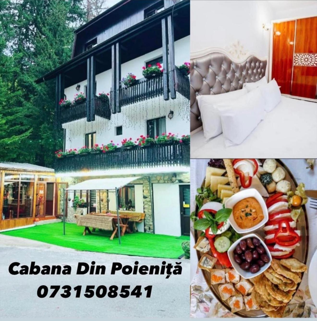 Cabana Din Poienita Poiana Brasov Eksteriør billede